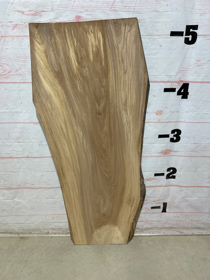 Live Edge Elm Sku#27514-21