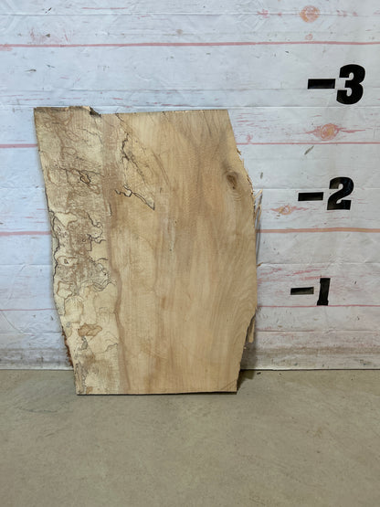 Live Edge Maple Sku#28559E-11