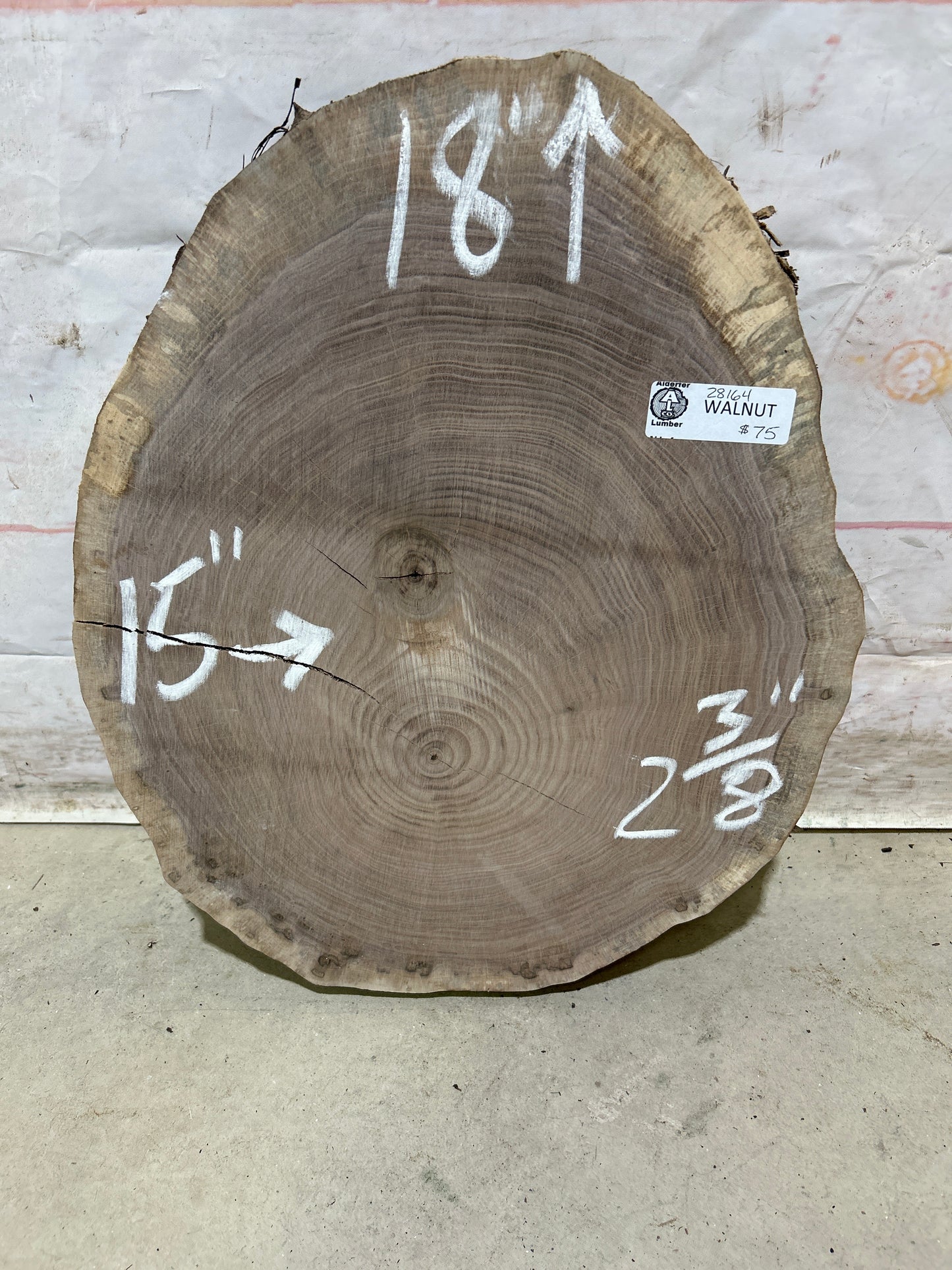 Live Edge Walnut Cookie Sku#28164M