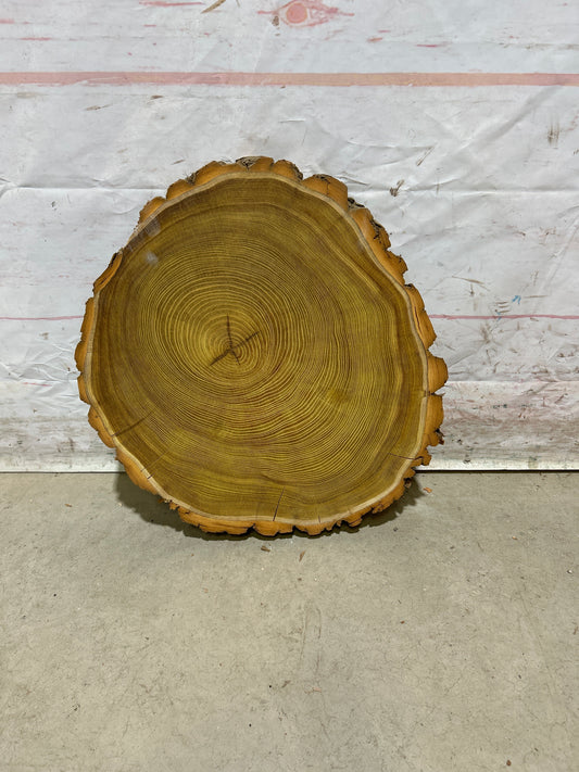 Live Edge Osage Orange Sku#28833M