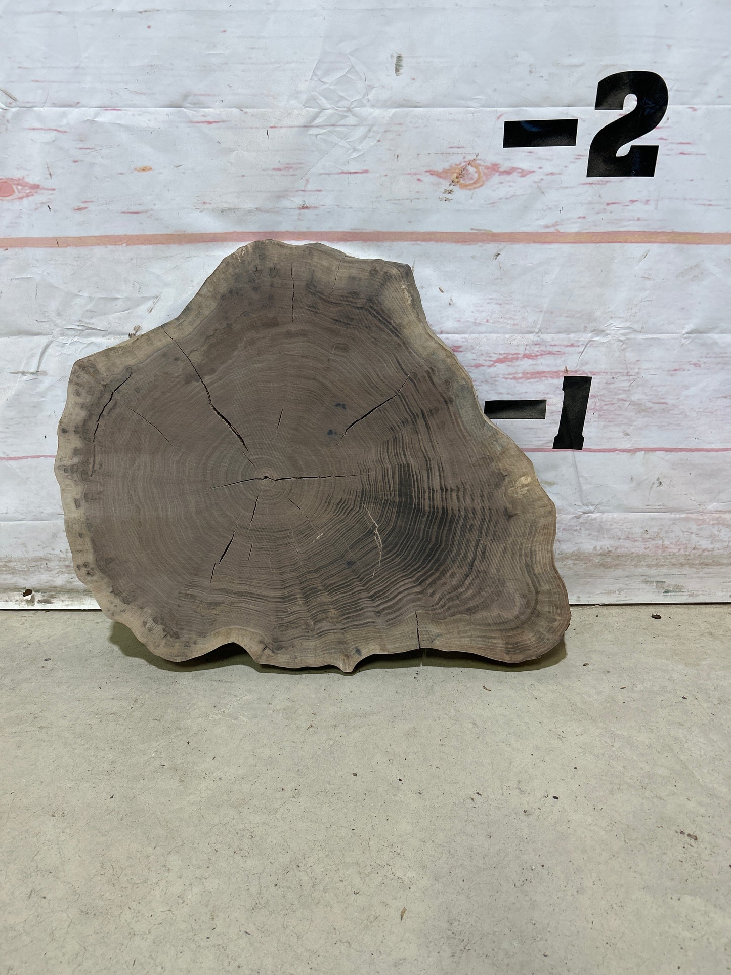 Live Edge Walnut Cookie Sku#27870M