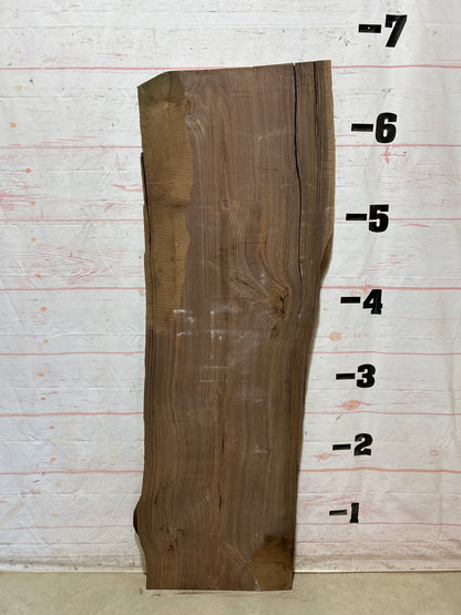 Live Edge Walnut Sku#28536G-24