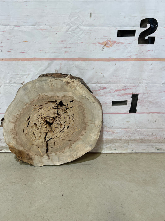 Live Edge Maple Cookie Sku#27880M