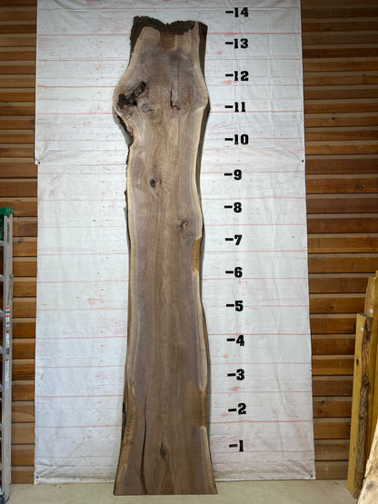 Live Edge Walnut Sku#28539-76
