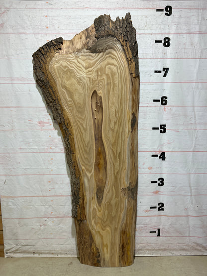 Live Edge Catalpa Sku#27427-56