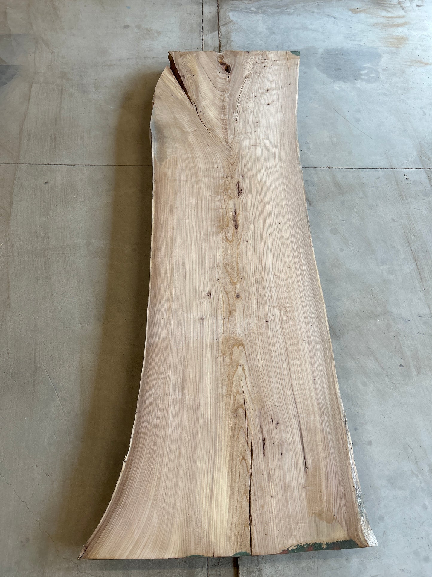 Live Edge Elm Sku#28502S-94