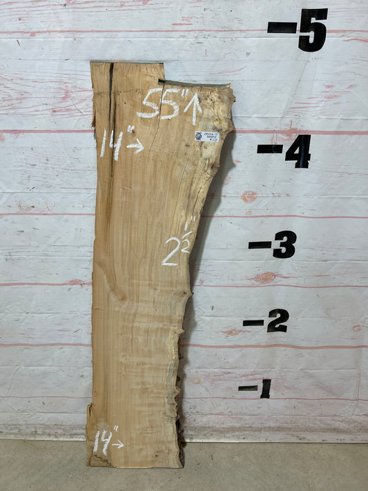 Live Edge Maple Sku#28440E-13