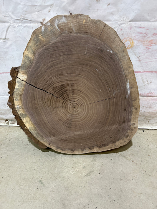 Live Edge Walnut Cookie Sku#28156M