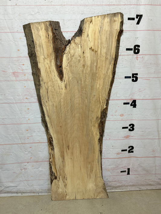 Live Edge Maple Sku#28318B-38