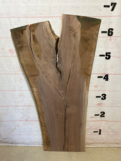 Live Edge Walnut Sku#28040-40