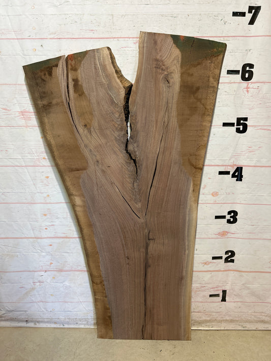 Live Edge Walnut Sku#28040-40