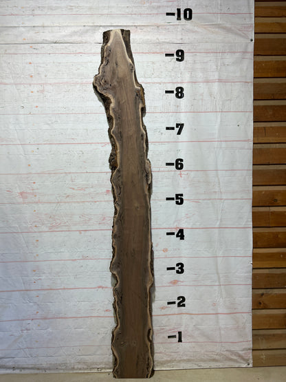 Live Edge Walnut Sku#28001M-17