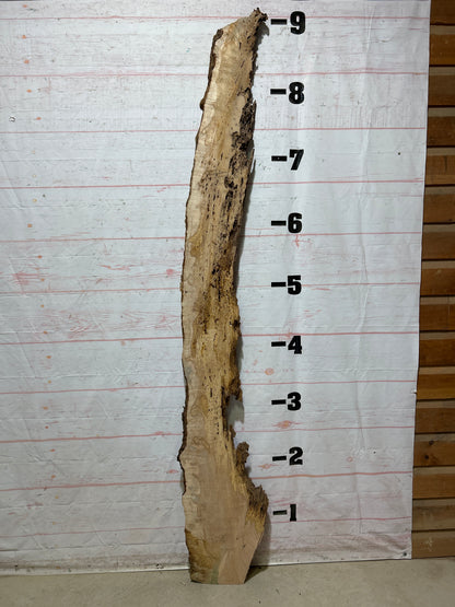 Live Edge Maple Sku#27354-20