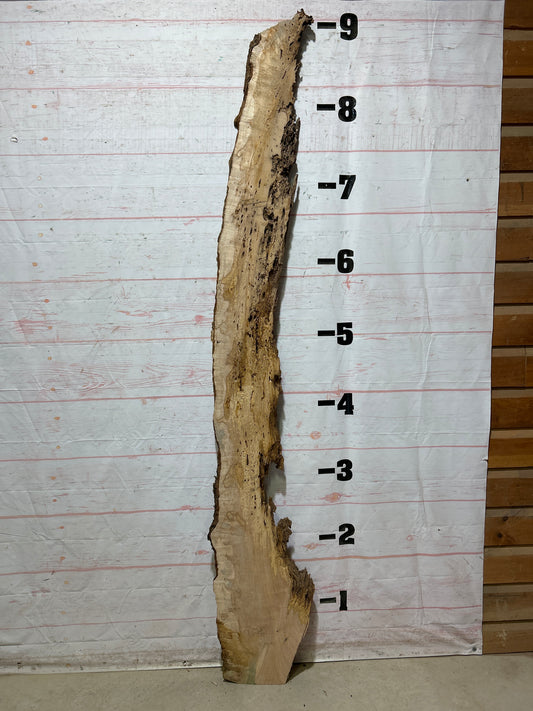 Live Edge Maple Sku#27354-20
