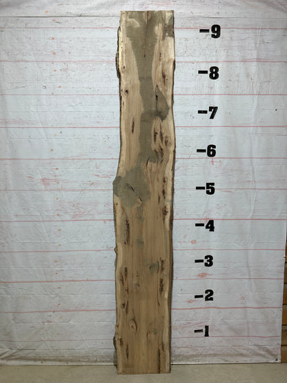 Live Edge Hickory Sku#28230-14