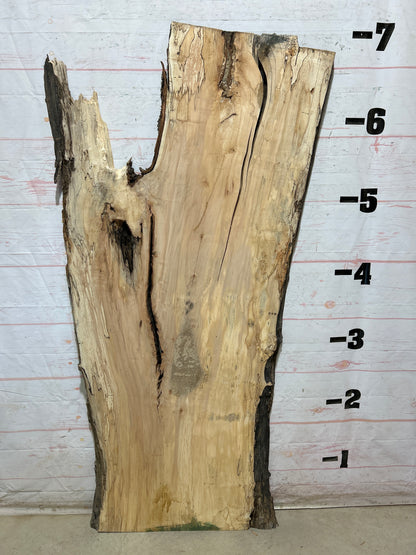 Live Edge Maple Sku#28313B-36