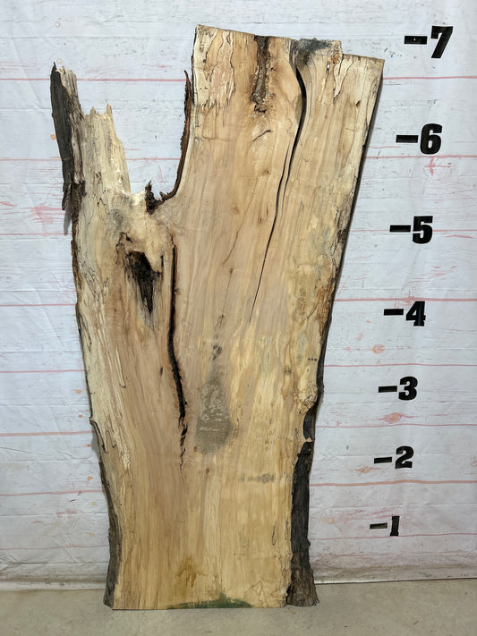 Live Edge Maple Sku#28313B-36