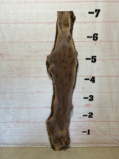 Live Edge Walnut Sku#28225M-8