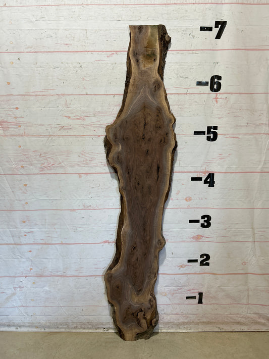 Live Edge Walnut Sku#28225M-8