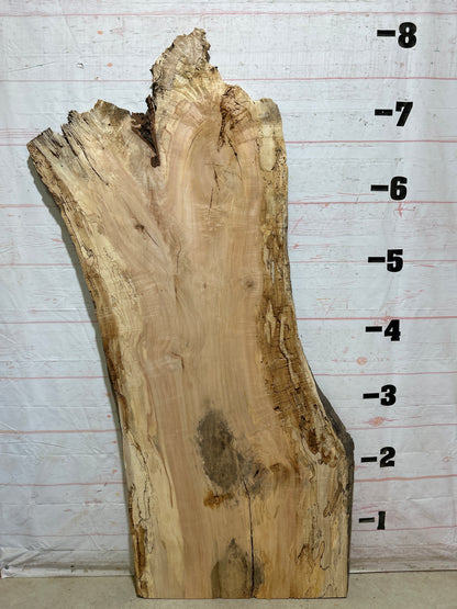 Live Edge Maple Sku#28098B-51