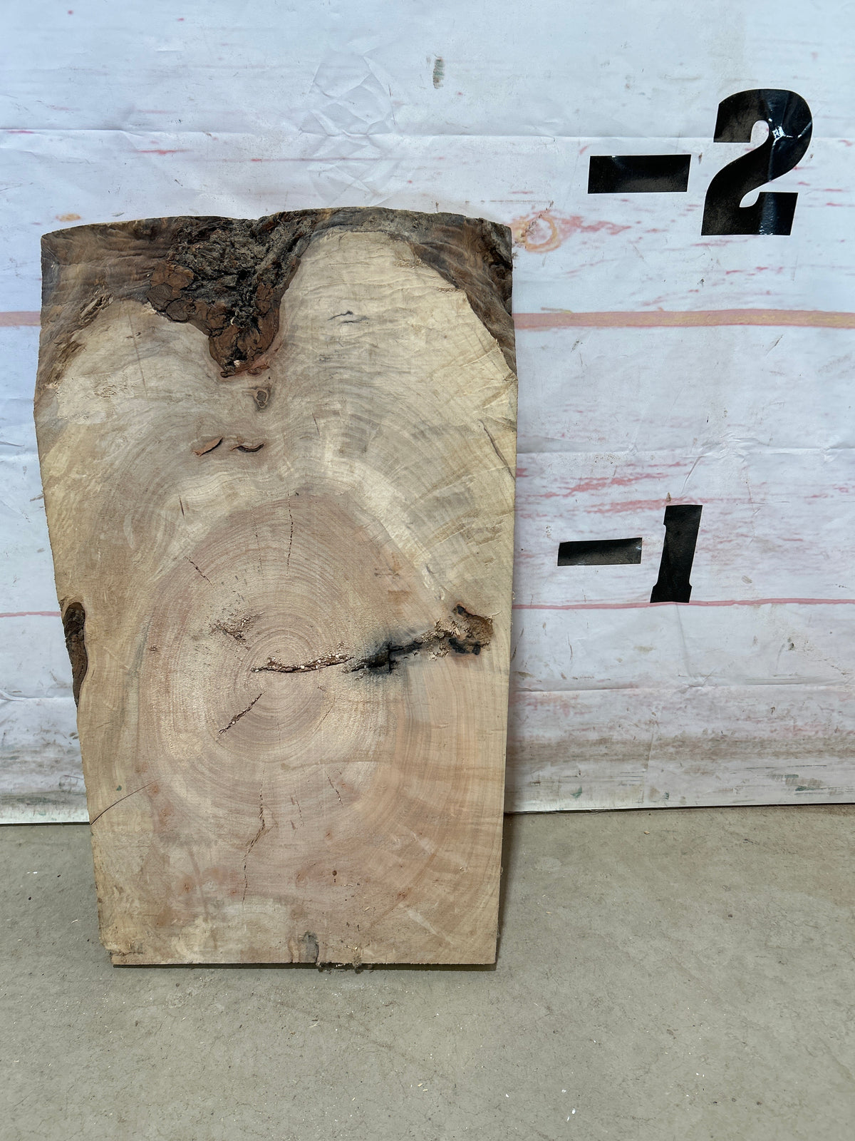 Turning Stock Soft Maple Sku#29022M-7