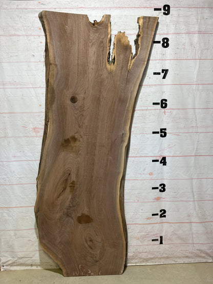 Live Edge Walnut Sku#27121-54