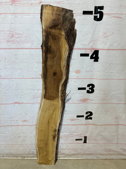 Live Edge Mulberry Sku#28363D-6