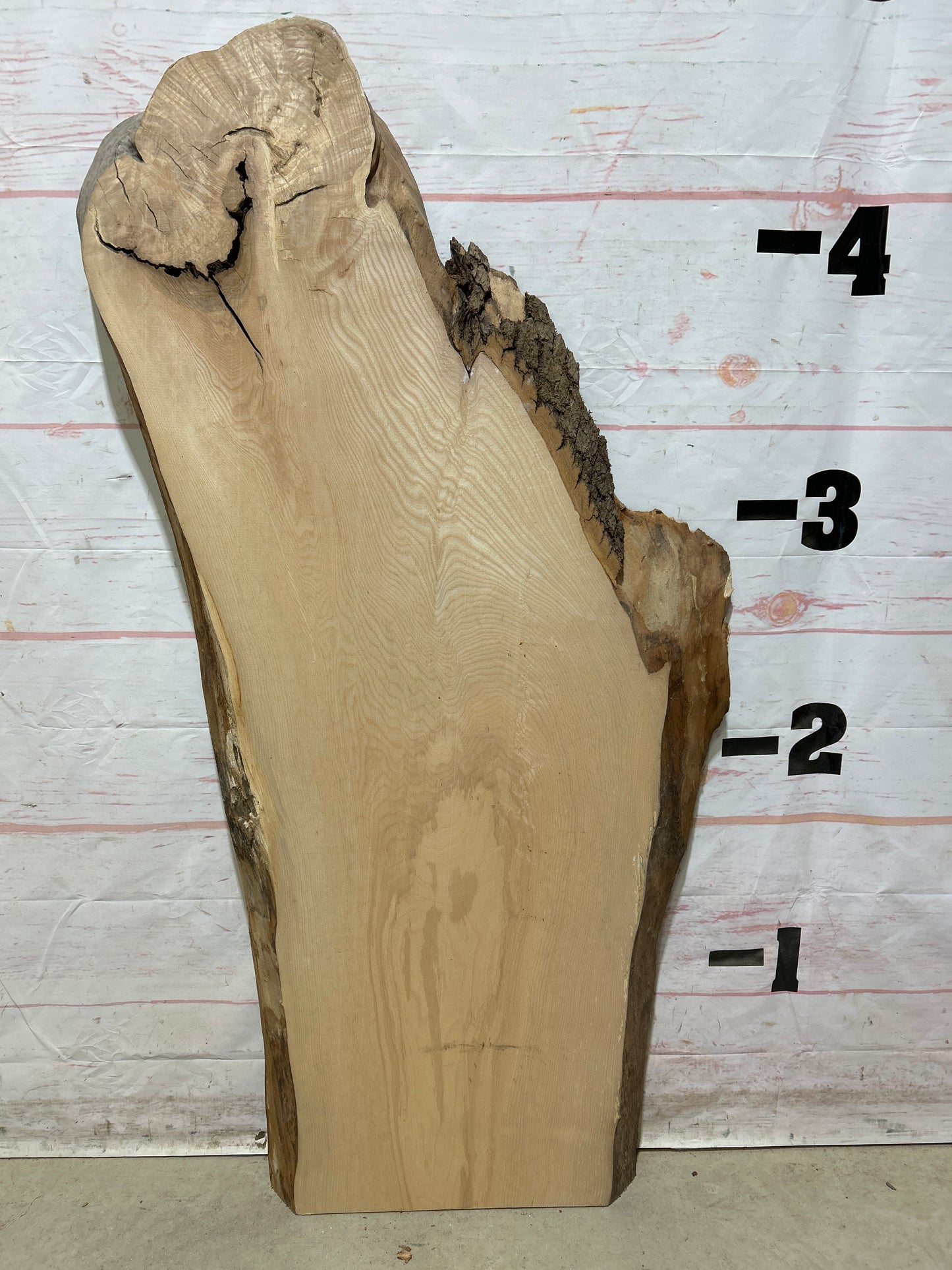 Live Edge Ash Sku#27283N-18