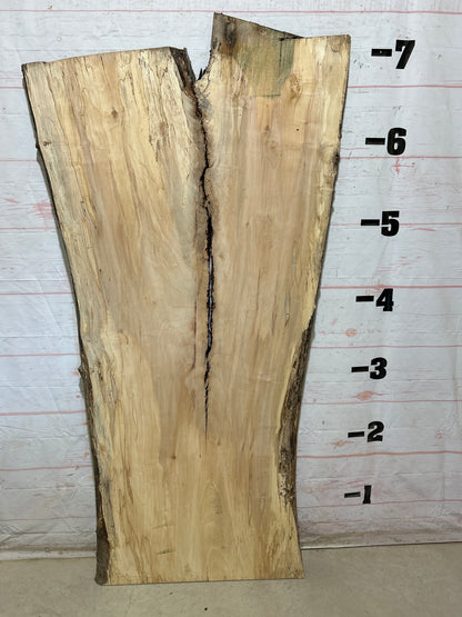 Live Edge Maple Sku#28316B-47