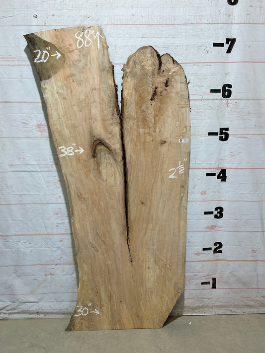 Live Edge Maple Sku#28428B-35