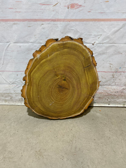 Live Edge Osage Orange Sku#28832M