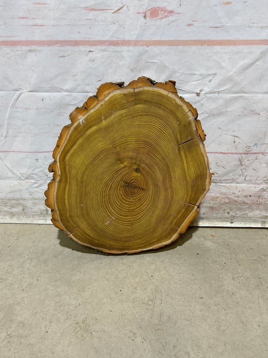 Live Edge Osage Orange Sku#28832M