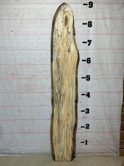 Live Edge Hackberry Sku#28588-16
