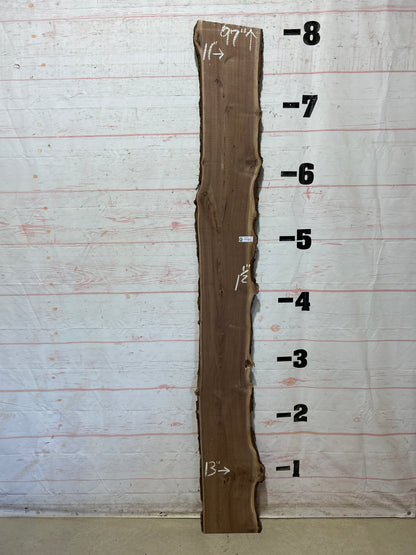 Live Edge Walnut Sku#28014M-12