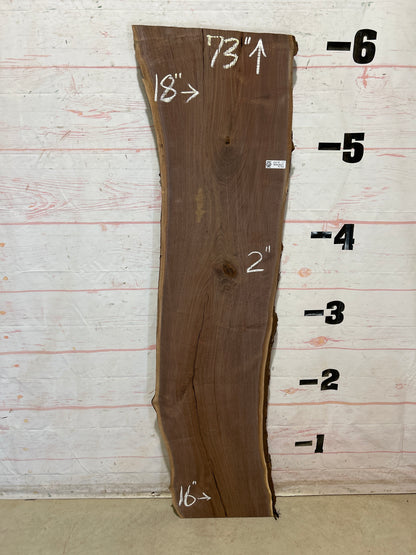 Live Edge Walnut Sku#28479G-17