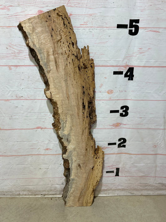 Live Edge Ambrosia Maple Sku#27266-12