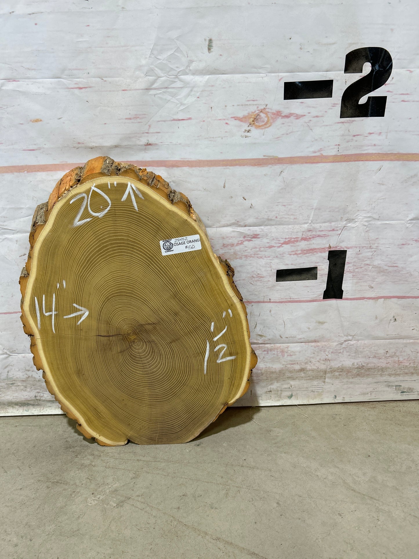 Live Edge Osage Orange Cookie Sku#28452M