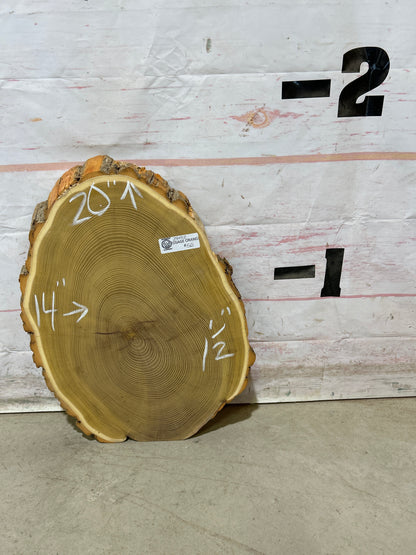 Live Edge Osage Orange Cookie Sku#28452M