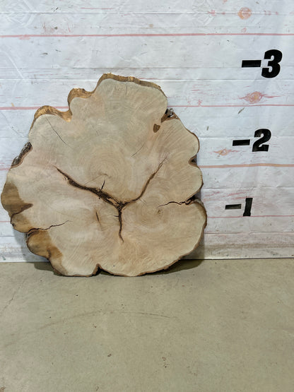Live Edge Maple Cookie Sku#28705M