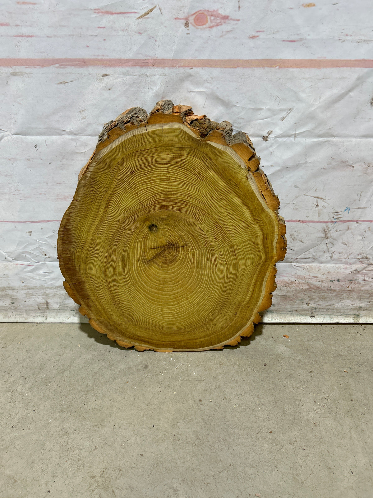 Live Edge Osage Orange Sku#28831M