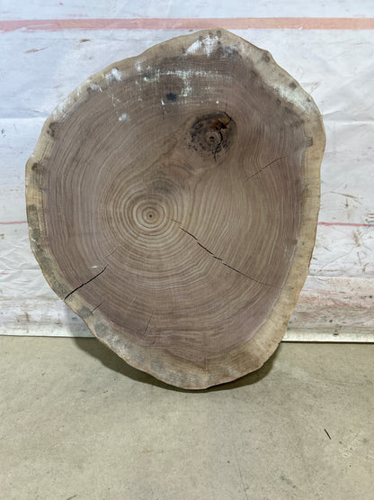 Live Edge Walnut Cookie Sku#28181M