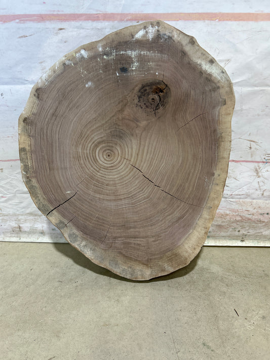 Live Edge Walnut Cookie Sku#28181M