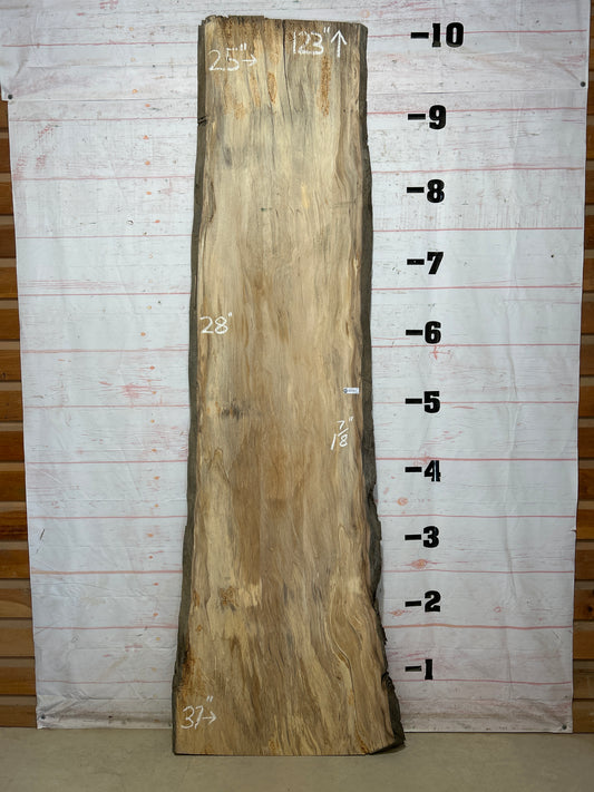 Live Edge Sycamore Sku#27447-53