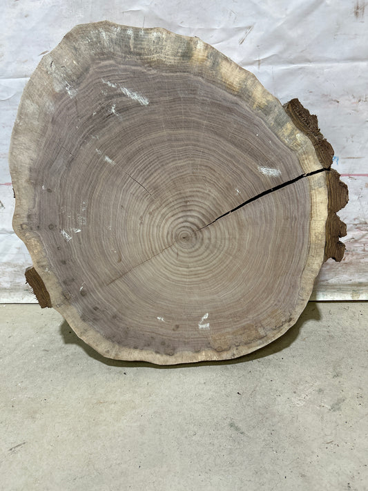 Live Edge Walnut Cookie Sku#28163M