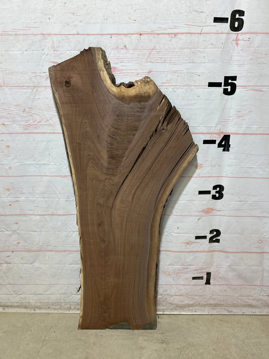 Live Edge Walnut Sku#28940G-22