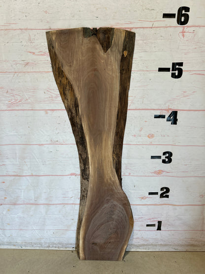 Live Edge Walnut Sku#28470G-20