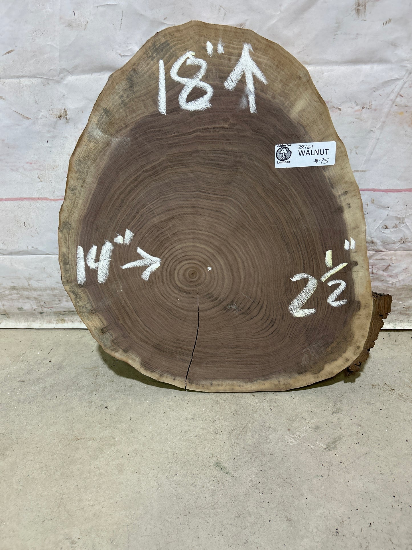 Live Edge Walnut Cookie Sku#28161M