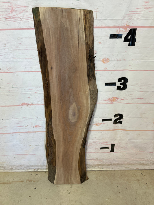 Live Edge Walnut Sku#27968G-10