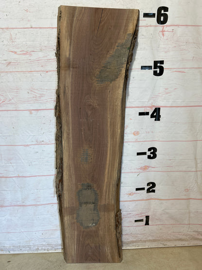Live Edge Walnut Sku#28530G-22