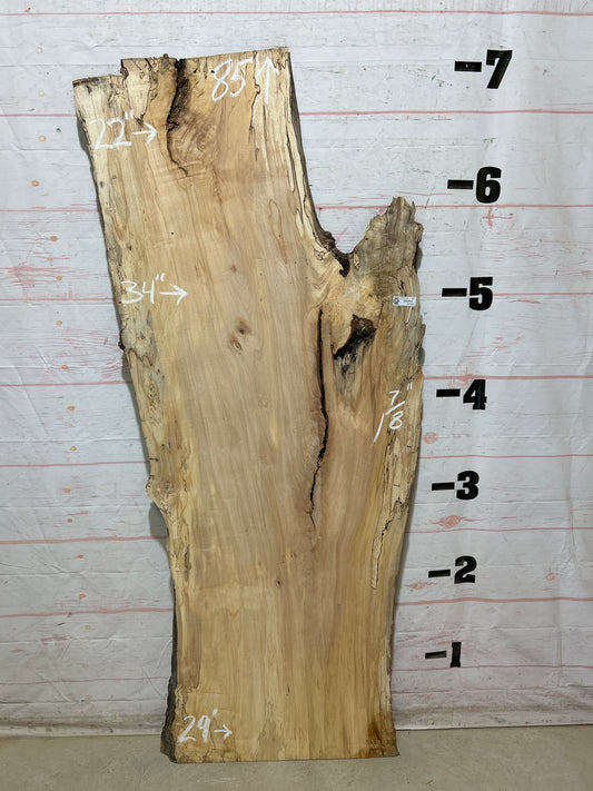 Live Edge Maple Sku#28312B-33